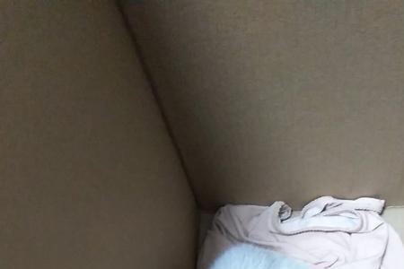 流浪猫抓人能收养吗