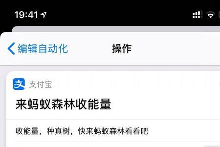 森林指令怎么输入