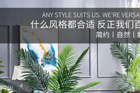 40厘米大的花盆适合种什么