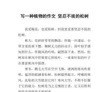 描写松柏的作文结尾