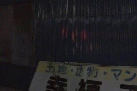 想避风但我没有港什么意思