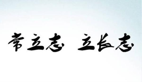 不成功决不罢休的心得体会