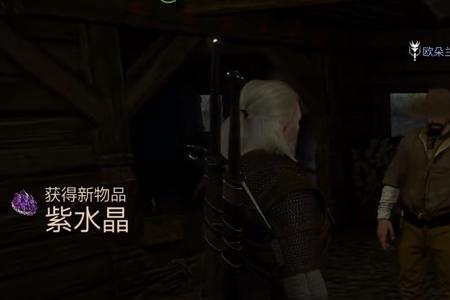 巫师3杨德戈任务