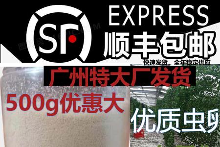 黑水虻虫卵如何打底层