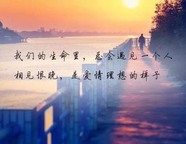 劝人不要多情的句子