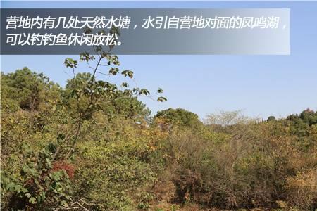 龙头湖的由来