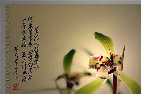 傲骨麒麟的意思
