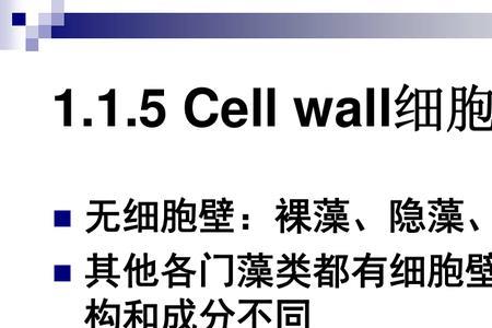 山节藻悦名词解释