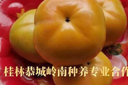 迷你小柿子皮能吃吗
