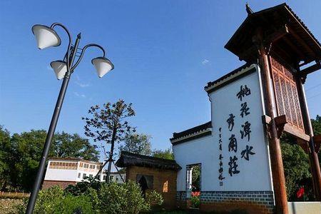 乡村建设和乡村治理的主要做法
