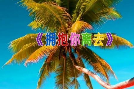 让我再次感受你的温柔原唱