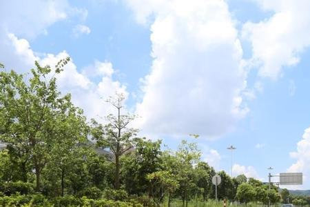 广东省晒谷场属于什么用地