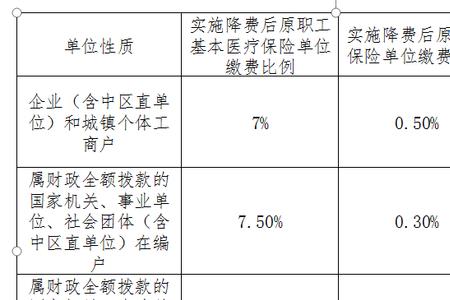 企业缴纳部分多少进个人账户