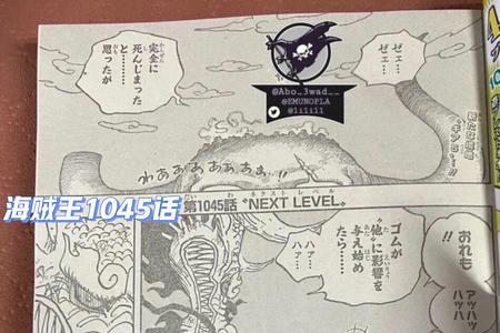 1045海贼王什么时候出