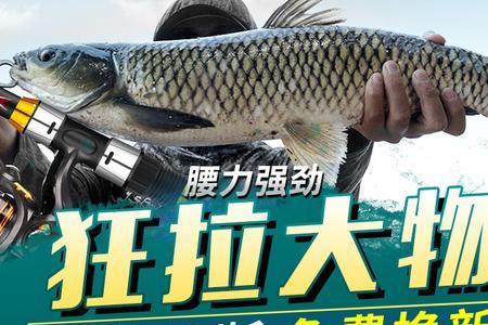 4.5米综合竿可以钓鲢鳙