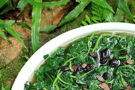 海南雷公根凉茶的做法