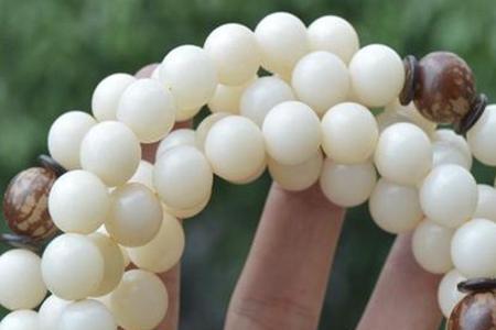 不常玩的菩提根怎么保存