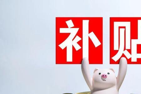 山东从哪年开始发放高龄补贴