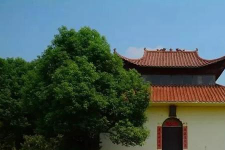 花桥在广东话是什么意思