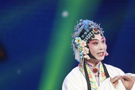 曲剧血染玉璧书剧情介绍