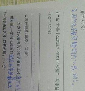 偷望的意思