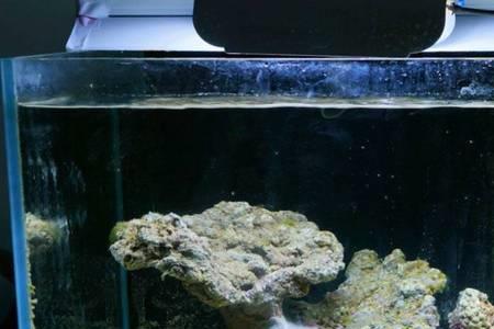 海缸能用上水石吗