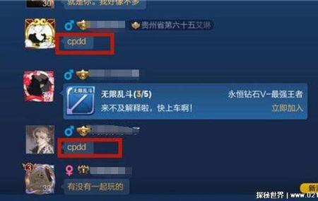 甩查是什么意思