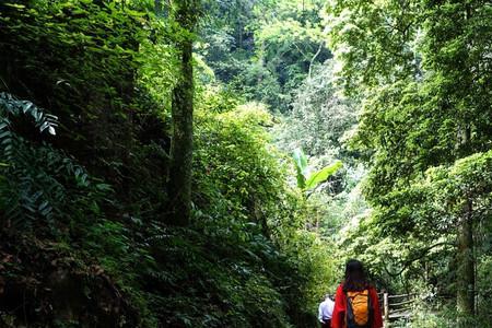 7月峨眉山徒步人多吗