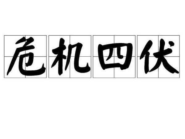 什么危机什么成语