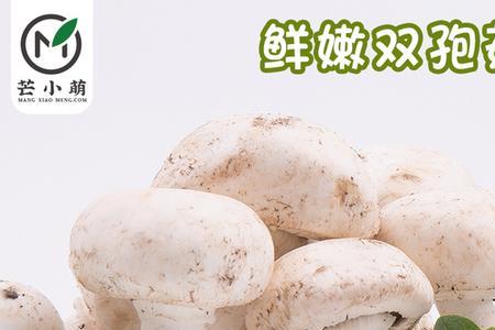 双孢菇跟口蘑是一个东西么