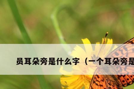 耳朵旁加贵读音