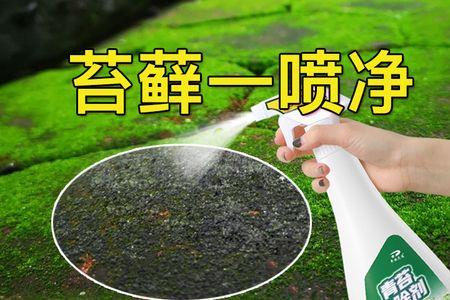 沥青地面青苔怎么处理