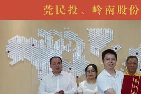 岭南控股集团有限公司介绍