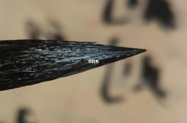 秃毛笔变尖方法