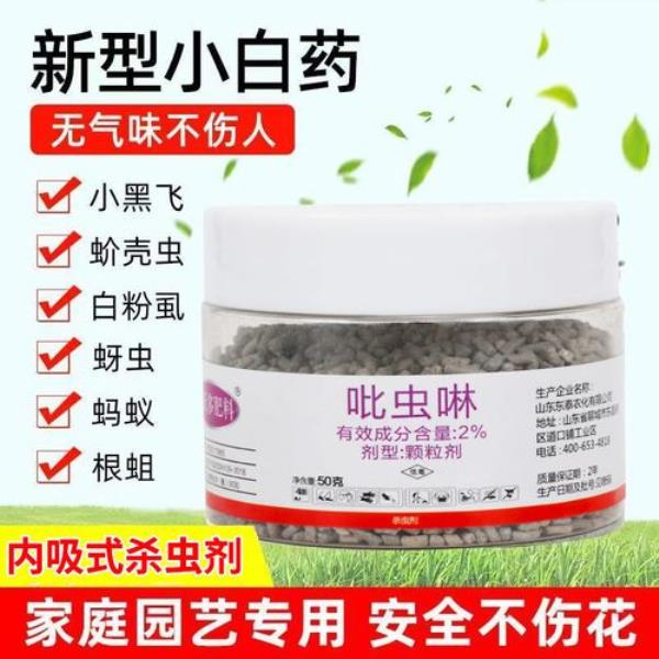 吡虫林能治小麦红蜘蛛吗