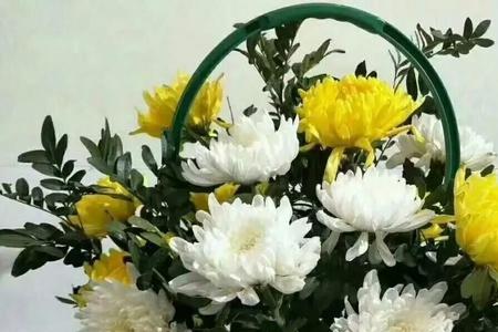 看望亲人去世的朋友买点什么好