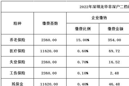 深圳2022年社保调整最新消息