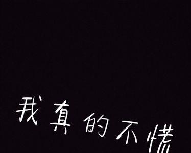 不慌不乱相应的词