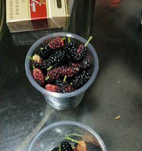 喽子是什么意思