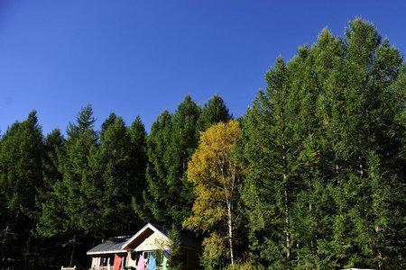 翠云山公园几点开门