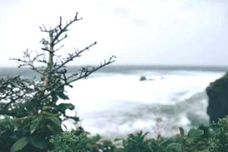 山河万色不抵你什么意思