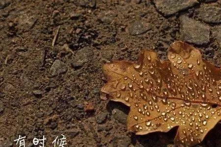 累到崩溃的朋友圈说说