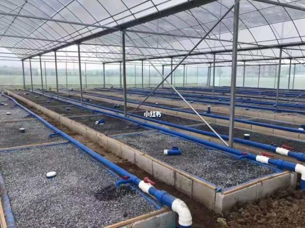 水产养殖大棚升温最佳方法