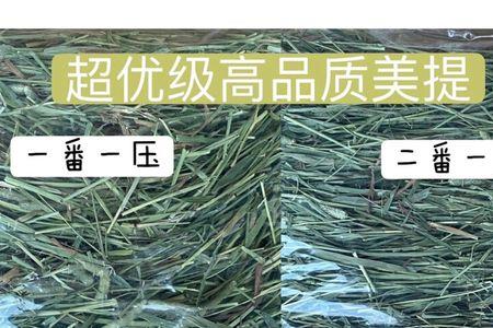 什么是一番什么是二番