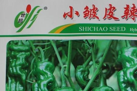 皱皮辣椒怎么保存