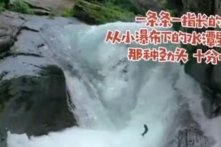 进龙门是什么意思