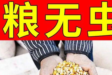 大米里的粉螨如何消除