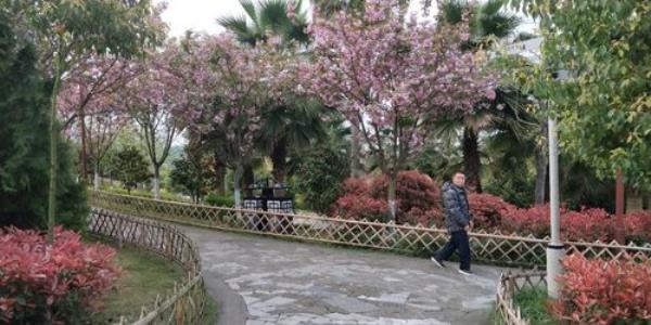 公园里的花都开了五颜六色，扩句