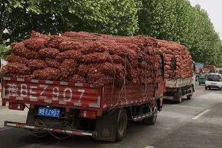 小米椒算不算绿通