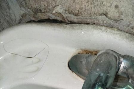 蒜瓣要洗吗